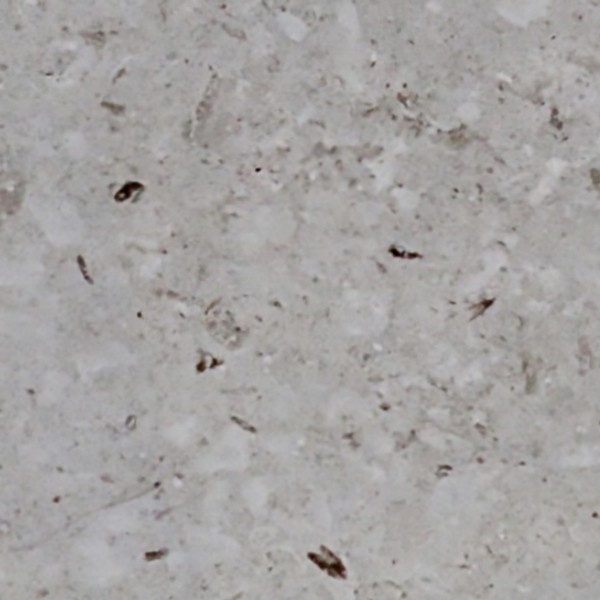 Textures   -   ARCHITECTURE   -   MARBLE SLABS   -   Cream  - Slab marble fine cream texture seamless 02091 - HR Full resolution preview demo