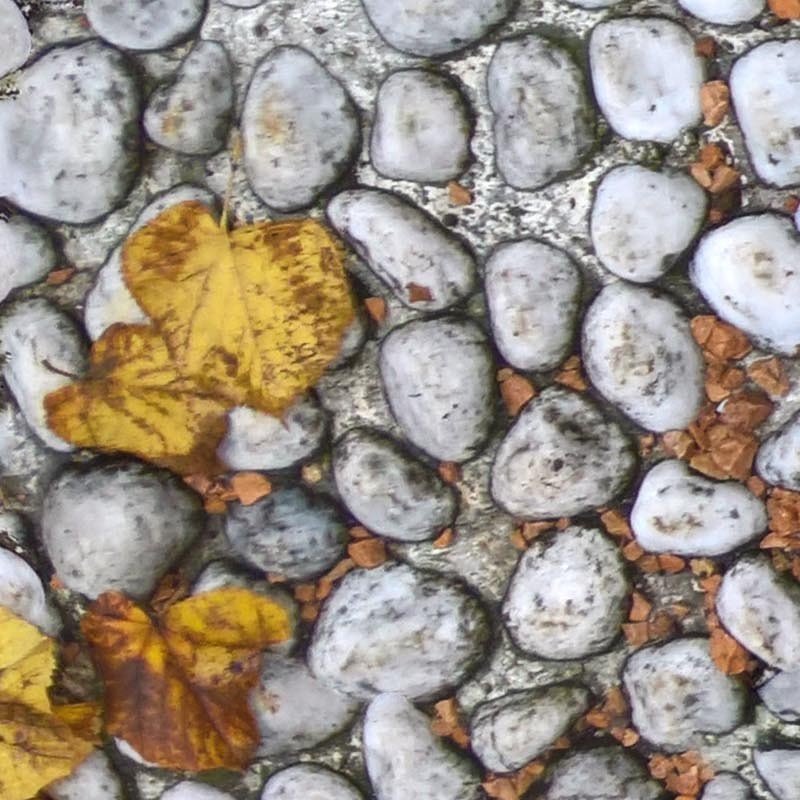 Textures   -   ARCHITECTURE   -   ROADS   -   Paving streets   -   Rounded cobble  - White rounded cobblestone with dead leaves texture seamless 19065 - HR Full resolution preview demo