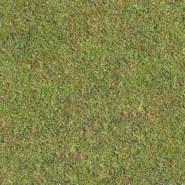 Textures   -   NATURE ELEMENTS   -   VEGETATION   -   Green grass  - Green grass texture seamless 13023 - HR Full resolution preview demo