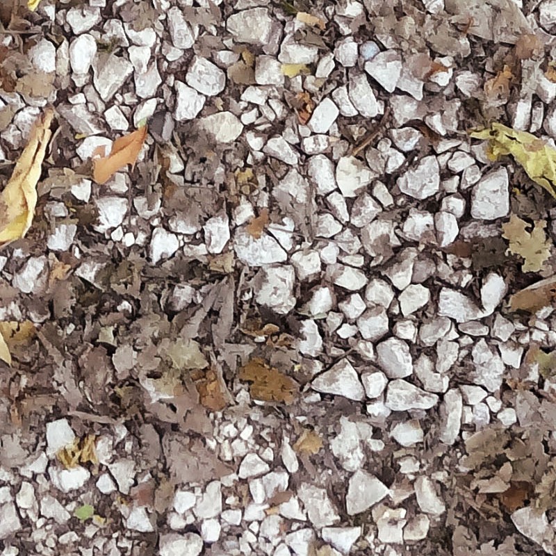 Textures   -   NATURE ELEMENTS   -   VEGETATION   -   Leaves dead  - Gravel with dead leaves 18644 - HR Full resolution preview demo