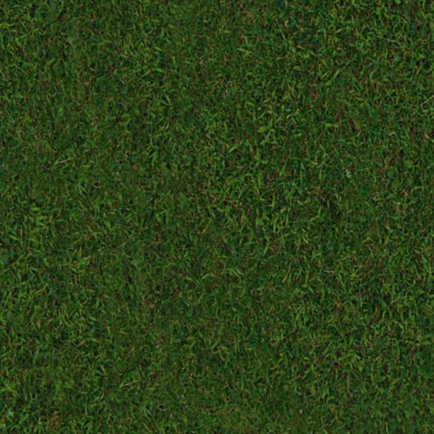 Textures   -   NATURE ELEMENTS   -   VEGETATION   -   Green grass  - Green grass texture seamless 13024 - HR Full resolution preview demo