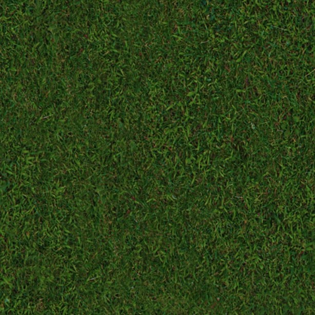 Textures   -   NATURE ELEMENTS   -   VEGETATION   -   Green grass  - Green grass texture seamless 13024 - HR Full resolution preview demo