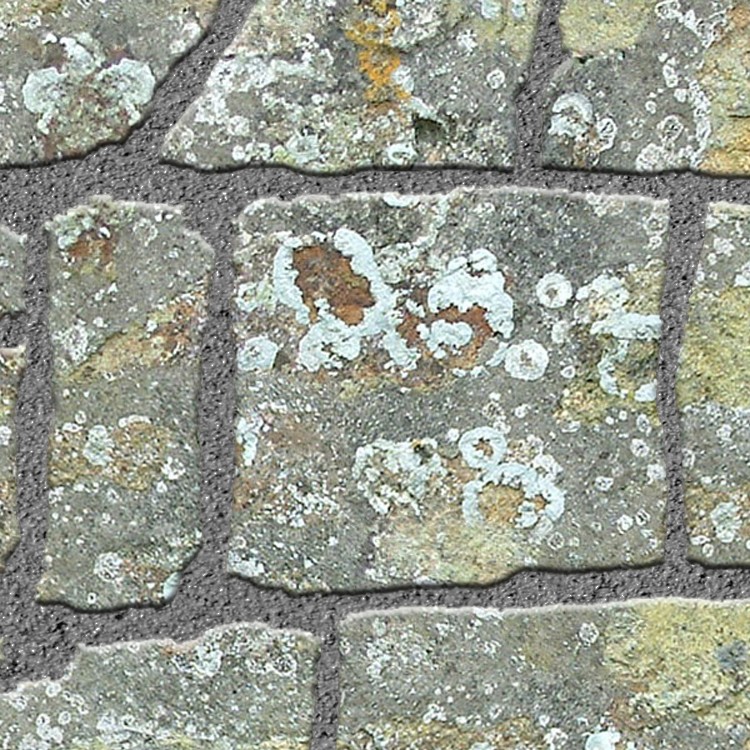 Textures   -   ARCHITECTURE   -   PAVING OUTDOOR   -   Flagstone  - Paving flagstone texture seamless 05923 - HR Full resolution preview demo