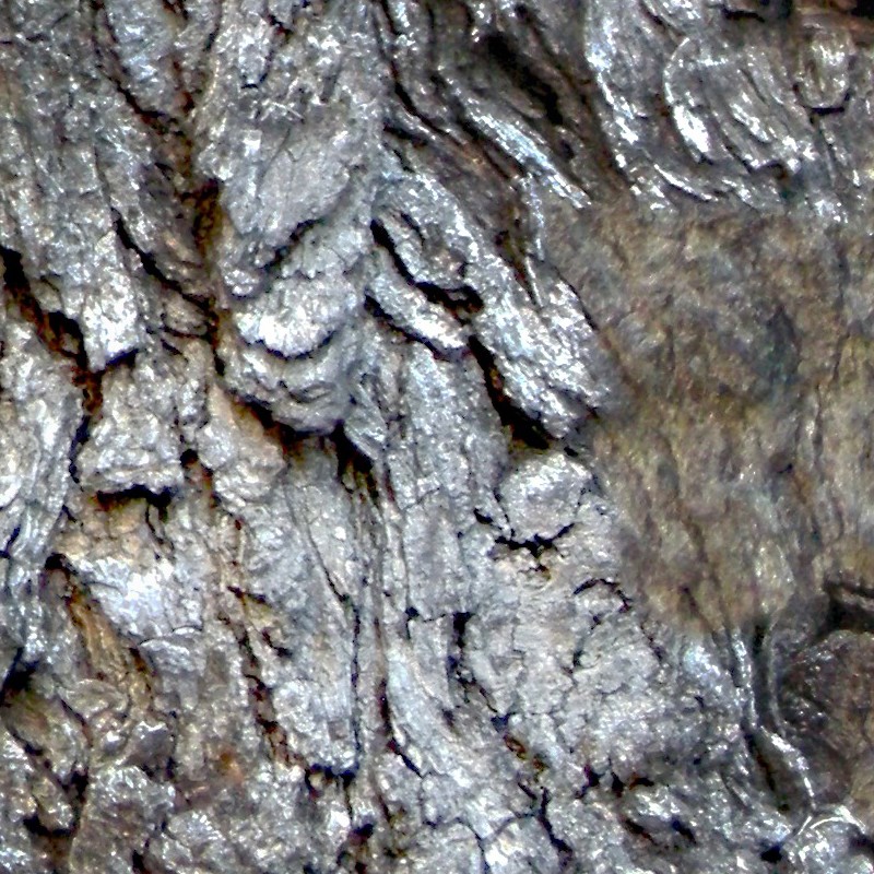 Textures   -   NATURE ELEMENTS   -   BARK  - Bark texture seamless 12366 - HR Full resolution preview demo