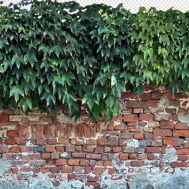 Textures   -   NATURE ELEMENTS   -   VEGETATION   -   Hedges  - Cut out hedge with brick wall 17682 - HR Full resolution preview demo