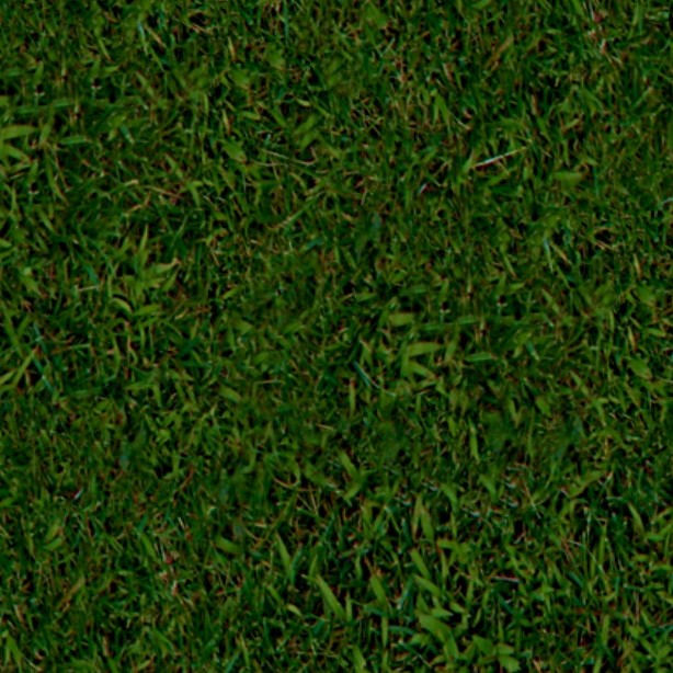 Textures   -   NATURE ELEMENTS   -   VEGETATION   -   Green grass  - Green grass texture seamless 13025 - HR Full resolution preview demo