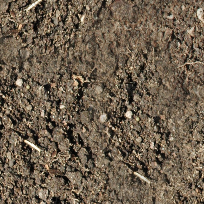 Textures   -   NATURE ELEMENTS   -   SOIL   -   Ground  - Ground texture seamless 12869 - HR Full resolution preview demo