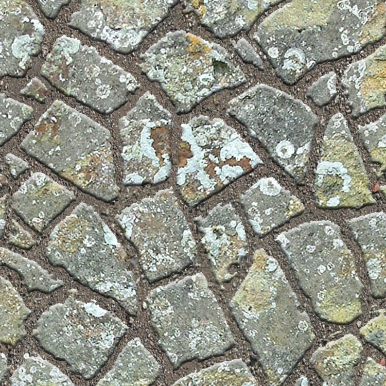 Textures   -   ARCHITECTURE   -   PAVING OUTDOOR   -   Flagstone  - Paving flagstone texture seamless 05924 - HR Full resolution preview demo