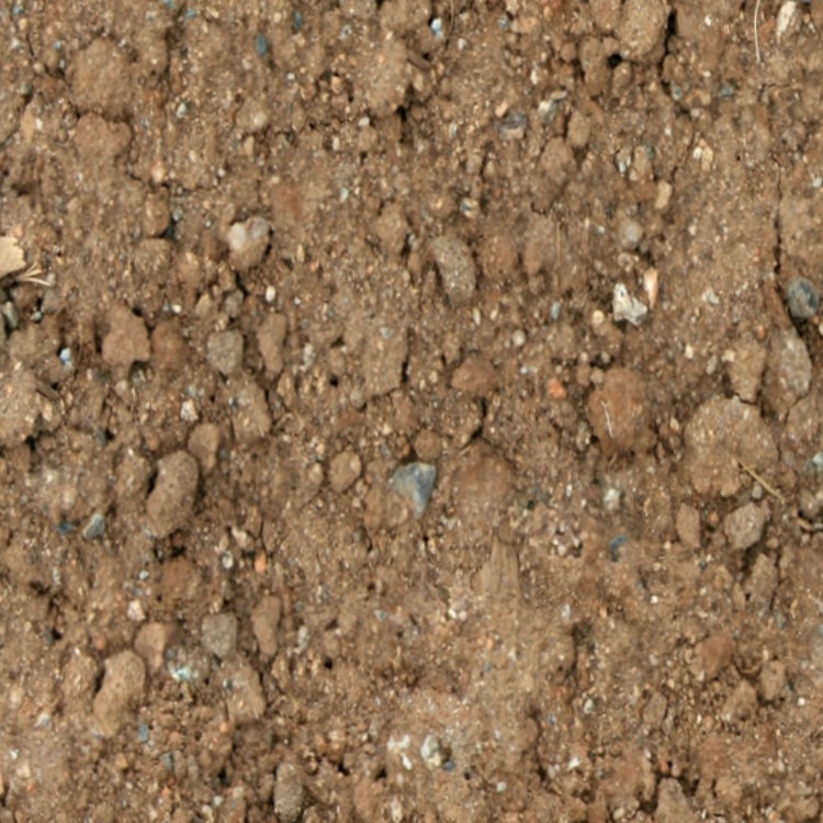 Textures   -   NATURE ELEMENTS   -   SOIL   -   Ground  - Ground texture seamless 12870 - HR Full resolution preview demo