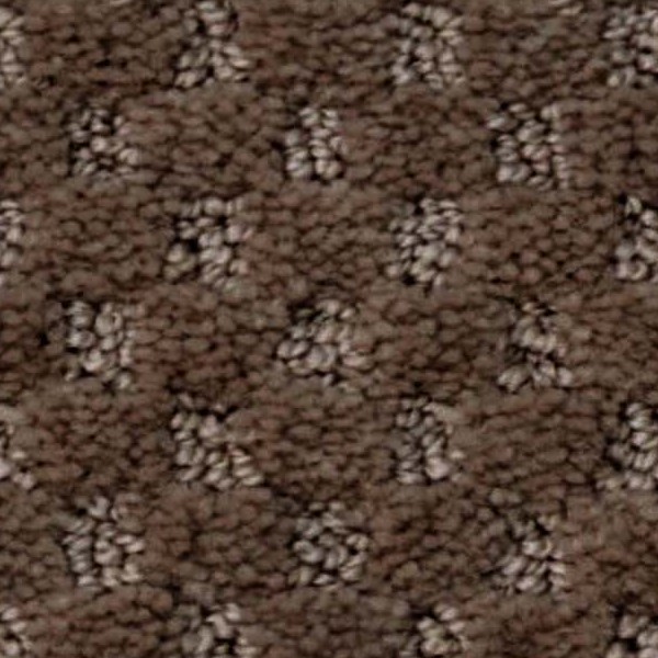 Textures   -   MATERIALS   -   CARPETING   -   Brown tones  - Brown carpeting texture seamless 19485 - HR Full resolution preview demo