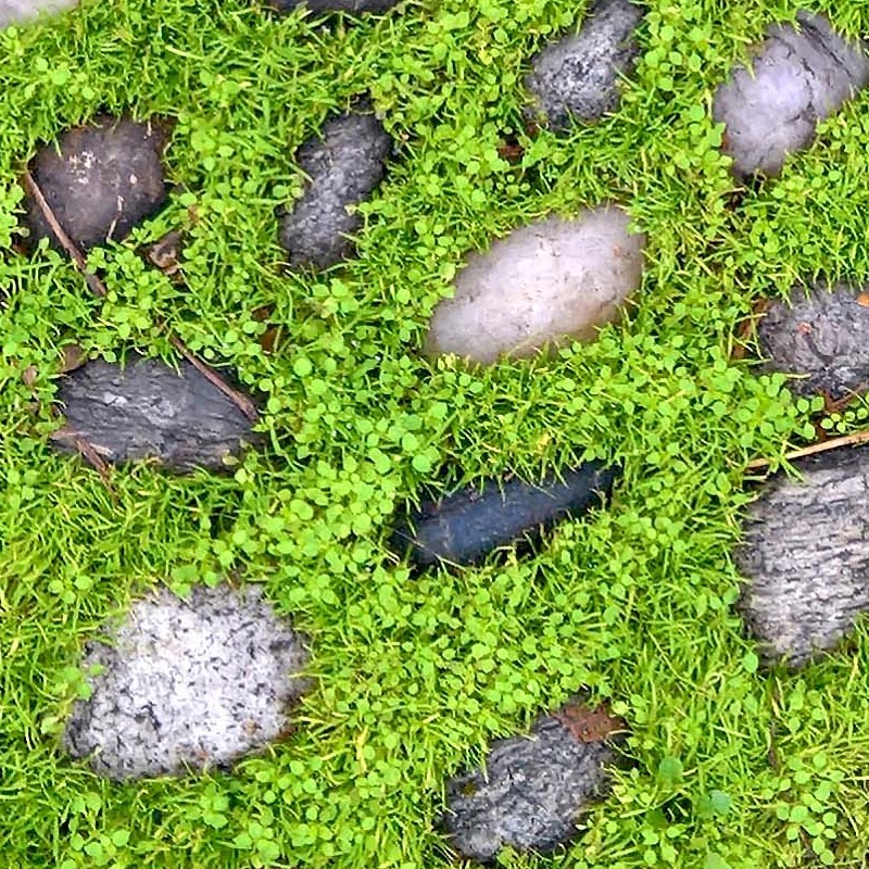 Textures   -   ARCHITECTURE   -   ROADS   -   Paving streets   -   Rounded cobble  - Road rounded cobblestone with green grass texture seamless 19752 - HR Full resolution preview demo