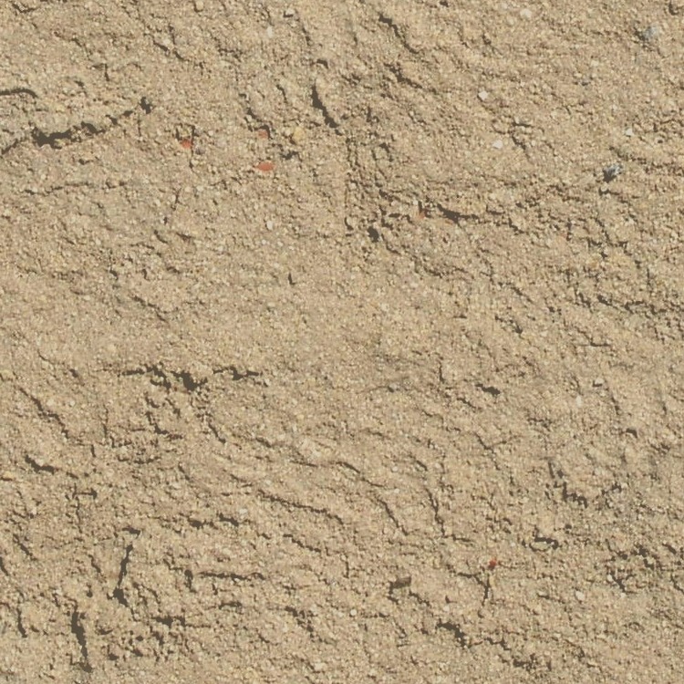 Textures   -   NATURE ELEMENTS   -   SAND  - Beach sand texture seamless 12762 - HR Full resolution preview demo