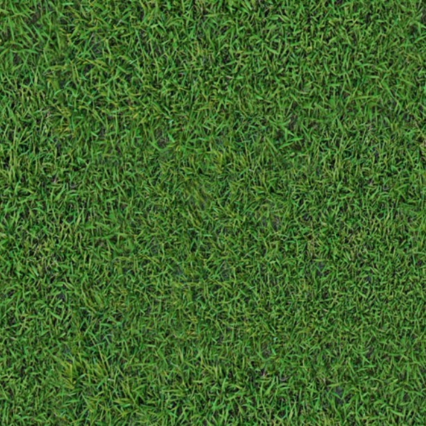 Textures   -   NATURE ELEMENTS   -   VEGETATION   -   Green grass  - Green grass texture seamless 13029 - HR Full resolution preview demo