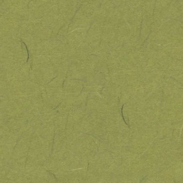 Textures   -   MATERIALS   -   PAPER  - Green rice paper texture seamless 10885 - HR Full resolution preview demo