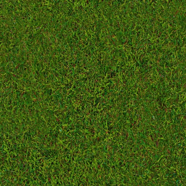 Textures   -   NATURE ELEMENTS   -   VEGETATION   -   Green grass  - Green grass texture seamless 13030 - HR Full resolution preview demo