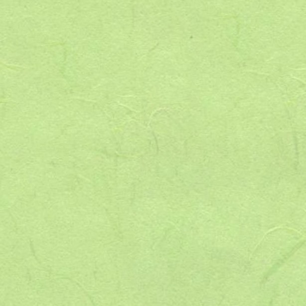 Textures   -   MATERIALS   -   PAPER  - Green rice paper texture seamless 10886 - HR Full resolution preview demo
