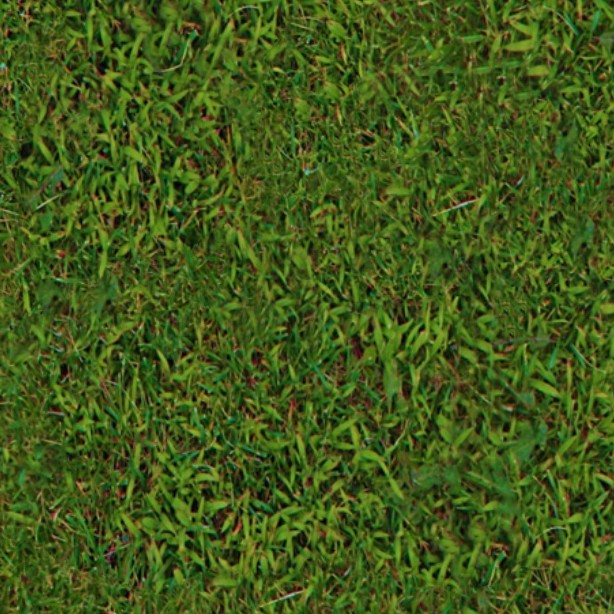 Textures   -   NATURE ELEMENTS   -   VEGETATION   -   Green grass  - Green grass texture seamless 13031 - HR Full resolution preview demo