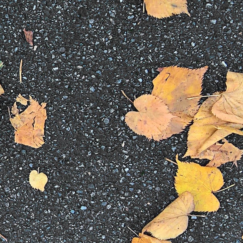 Textures   -   NATURE ELEMENTS   -   VEGETATION   -   Leaves dead  - Asphalt with dead leaves texture seamless 18652 - HR Full resolution preview demo
