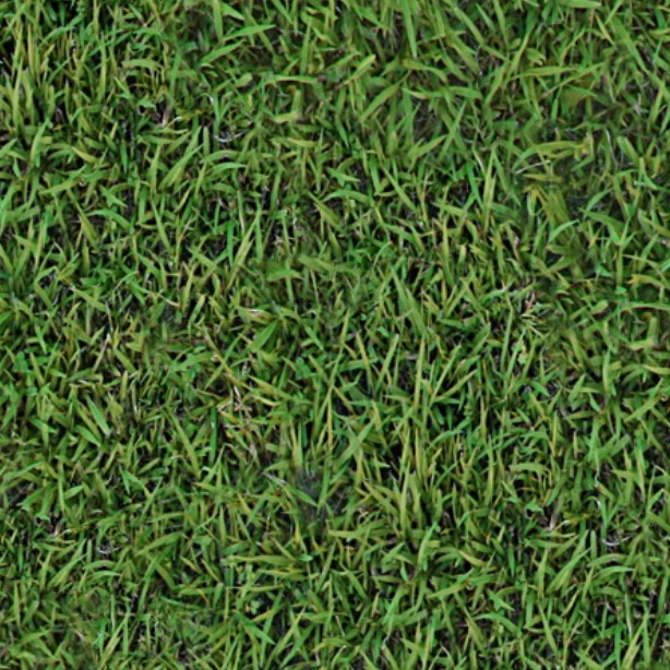 Textures   -   NATURE ELEMENTS   -   VEGETATION   -   Green grass  - Green grass texture seamless 13032 - HR Full resolution preview demo