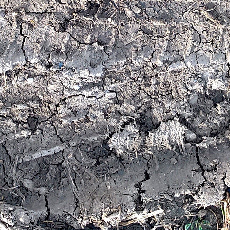 Textures   -   NATURE ELEMENTS   -   SOIL   -   Ground  - Dried ground with tire marks texture 17909 - HR Full resolution preview demo