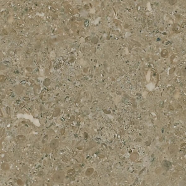 Textures   -   ARCHITECTURE   -   MARBLE SLABS   -   Brown  - Slab marble fossil seamless 02036 - HR Full resolution preview demo