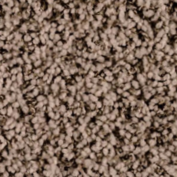Textures   -   MATERIALS   -   CARPETING   -   Brown tones  - Light brown boucle carpeting texture seamless 19493 - HR Full resolution preview demo