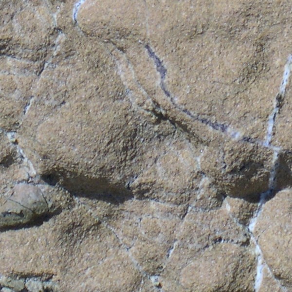 Textures   -   NATURE ELEMENTS   -   ROCKS  - Rock stone texture seamless 12689 - HR Full resolution preview demo