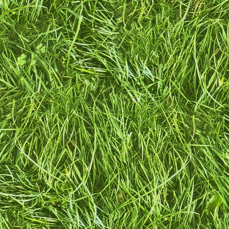 Textures   -   NATURE ELEMENTS   -   VEGETATION   -   Green grass  - Green grass texture seamless 13036 - HR Full resolution preview demo