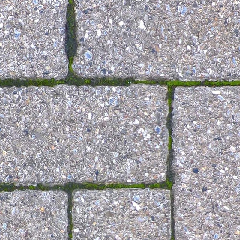 Textures   -   ARCHITECTURE   -   PAVING OUTDOOR   -   Concrete   -   Herringbone  - Herringbone concrete paving outdoor with moss texture seamless 19257 - HR Full resolution preview demo