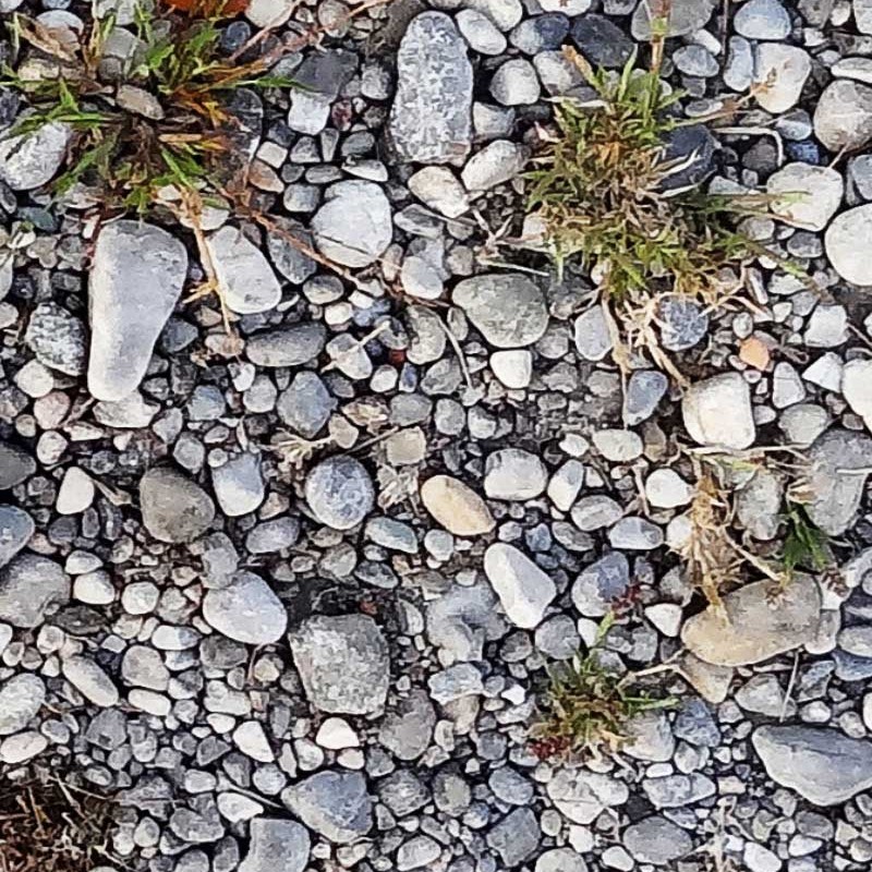 Textures   -   NATURE ELEMENTS   -   SOIL   -   Ground  - Ground with mixed pebbles texture seamless 20307 - HR Full resolution preview demo