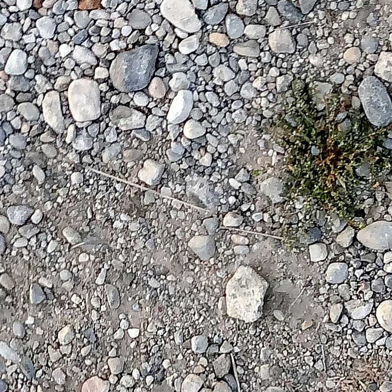 Textures   -   NATURE ELEMENTS   -   SOIL   -   Ground  - Ground with mixed pebbles texture seamless 20308 - HR Full resolution preview demo