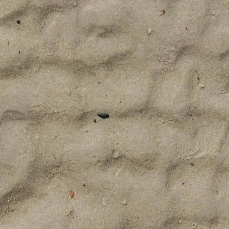Textures   -   NATURE ELEMENTS   -   SAND  - Beach sand texture seamless 21269 - HR Full resolution preview demo