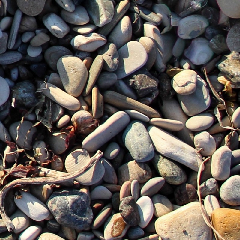 Textures   -   NATURE ELEMENTS   -   GRAVEL &amp; PEBBLES  - Beach pebbles stone texture seamless 12448 - HR Full resolution preview demo