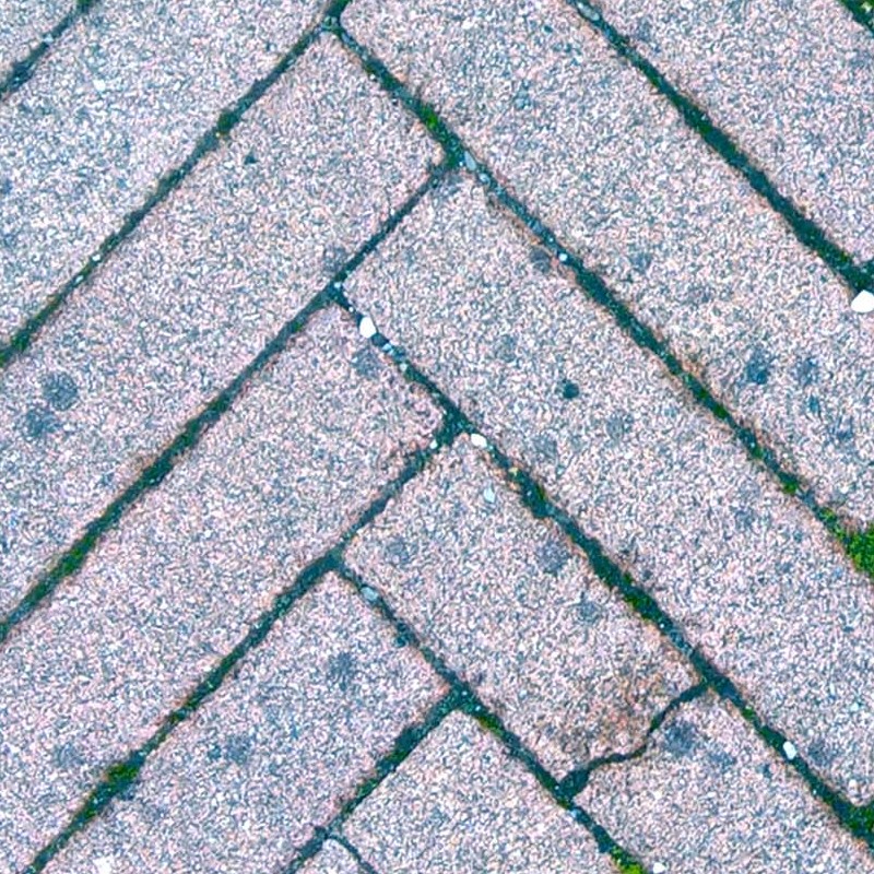 Textures   -   ARCHITECTURE   -   PAVING OUTDOOR   -   Concrete   -   Herringbone  - Herringbone concrete paving outdoor with moss texture seamless 19286 - HR Full resolution preview demo