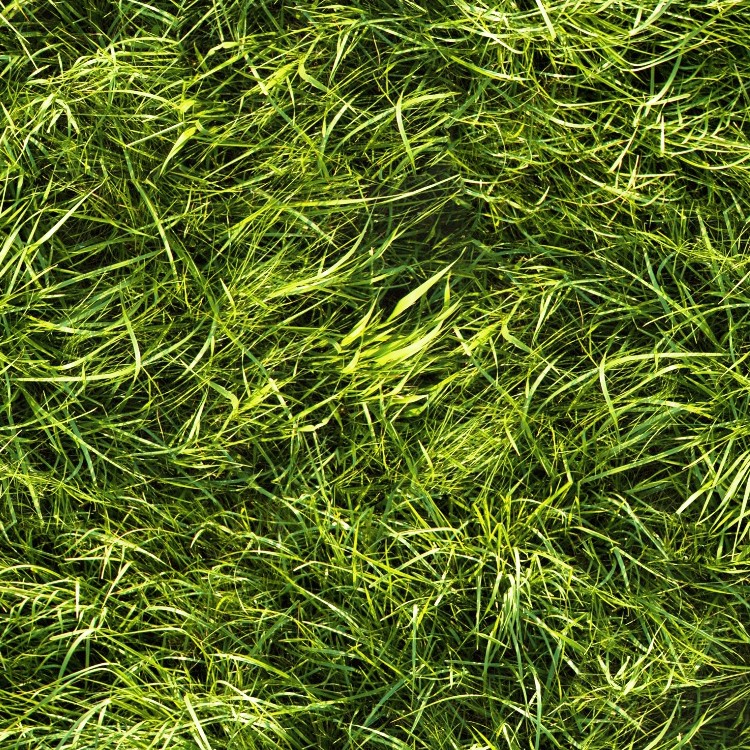 Textures   -   NATURE ELEMENTS   -   VEGETATION   -   Green grass  - Green grass texture seamless 13047 - HR Full resolution preview demo