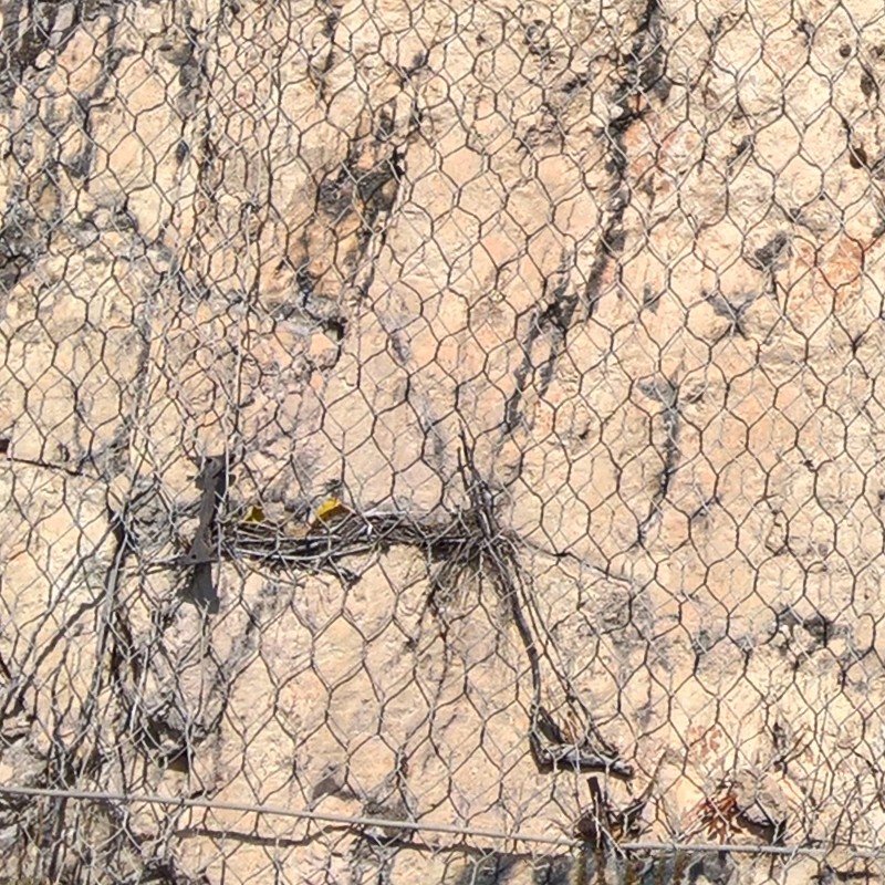 Textures   -   NATURE ELEMENTS   -   ROCKS  - Rocks with wire mesh texture seamless 17477 - HR Full resolution preview demo