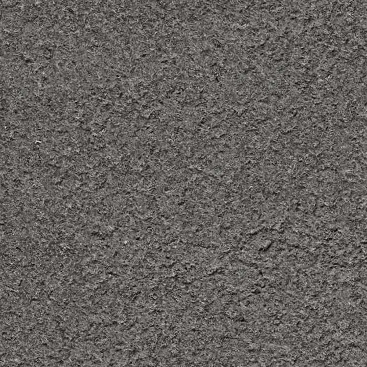 Concrete Bare Rough Wall Texture Seamless 19756