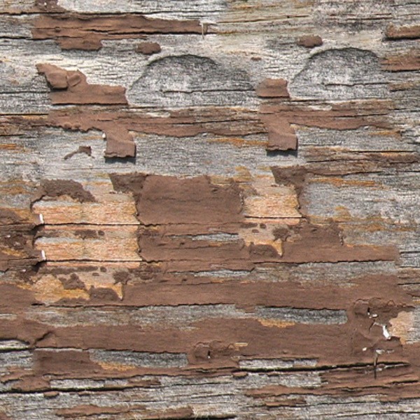 Textures   -   ARCHITECTURE   -   WOOD   -   cracking paint  - Cracking paint wood texture seamless 04186 - HR Full resolution preview demo
