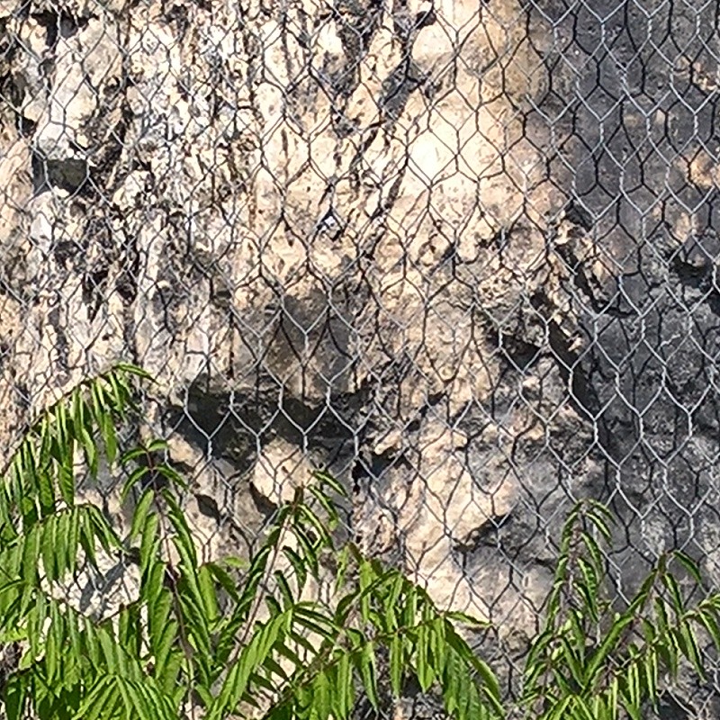 Textures   -   NATURE ELEMENTS   -   ROCKS  - Rocks with wire mesh texture 17479 - HR Full resolution preview demo