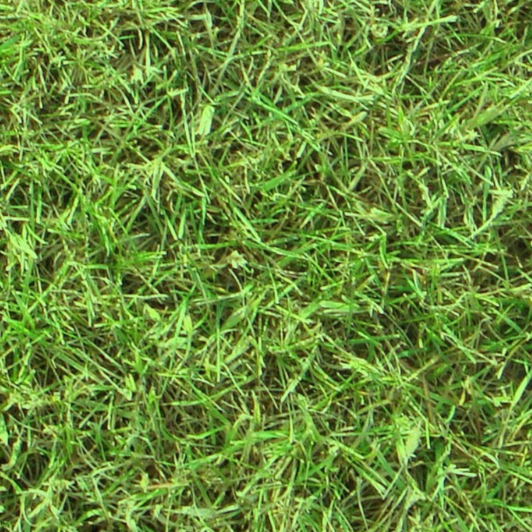 Textures   -   NATURE ELEMENTS   -   VEGETATION   -   Green grass  - Green grass texture seamless 13052 - HR Full resolution preview demo