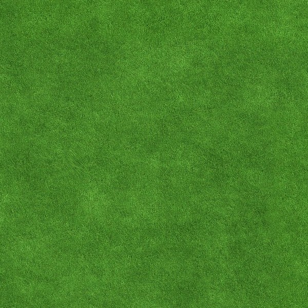 Textures   -   NATURE ELEMENTS   -   VEGETATION   -   Green grass  - Green grass texture seamless 13053 - HR Full resolution preview demo