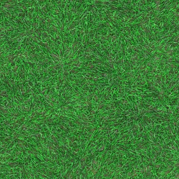 Textures   -   NATURE ELEMENTS   -   VEGETATION   -   Green grass  - Green grass texture seamless 13054 - HR Full resolution preview demo