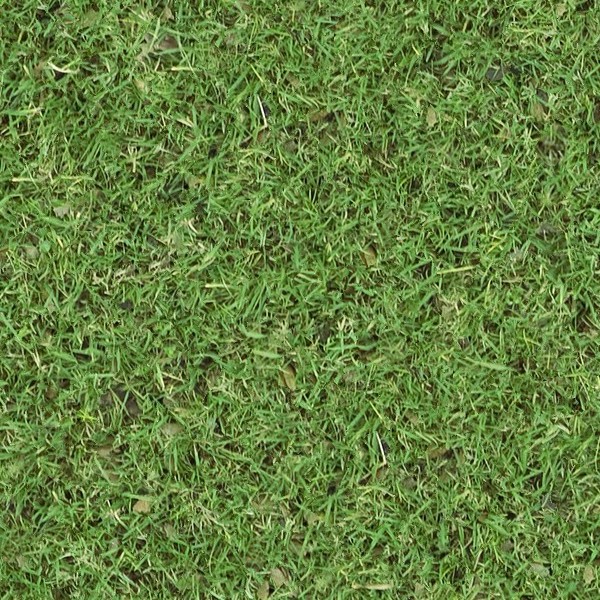 Textures   -   NATURE ELEMENTS   -   VEGETATION   -   Green grass  - Green grass texture seamless 13055 - HR Full resolution preview demo