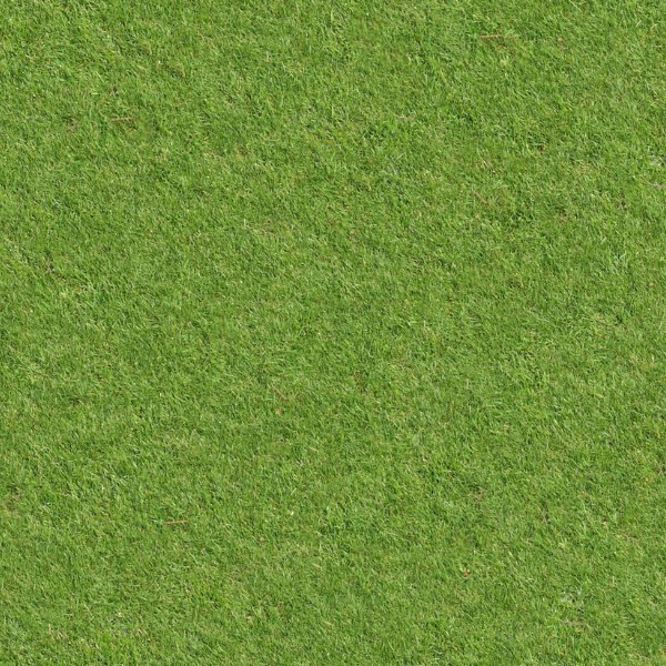Textures   -   NATURE ELEMENTS   -   VEGETATION   -   Green grass  - Green grass texture seamless 13056 - HR Full resolution preview demo