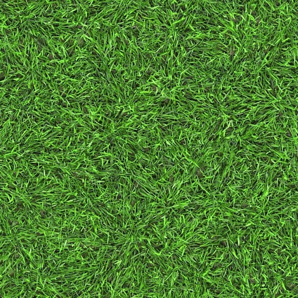 Textures   -   NATURE ELEMENTS   -   VEGETATION   -   Green grass  - Green grass texture seamless 13057 - HR Full resolution preview demo