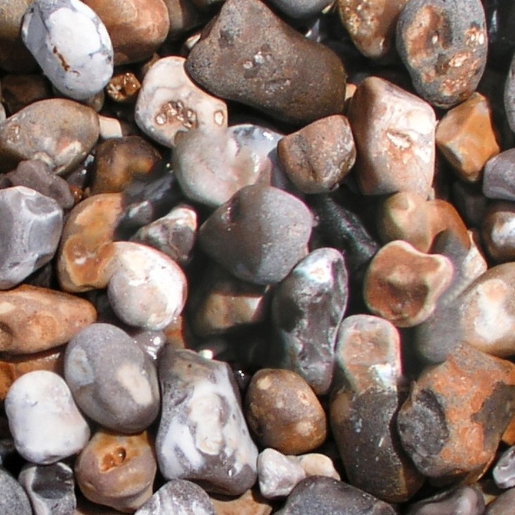 Textures   -   NATURE ELEMENTS   -   GRAVEL &amp; PEBBLES  - Pebbles stone texture seamless 12459 - HR Full resolution preview demo