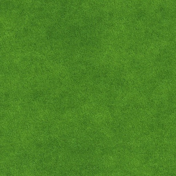 Textures   -   NATURE ELEMENTS   -   VEGETATION   -   Green grass  - Green grass texture seamless 13058 - HR Full resolution preview demo