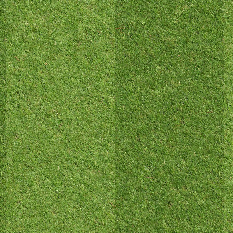 Textures   -   NATURE ELEMENTS   -   VEGETATION   -   Green grass  - Football green grass texture seamless 13062 - HR Full resolution preview demo