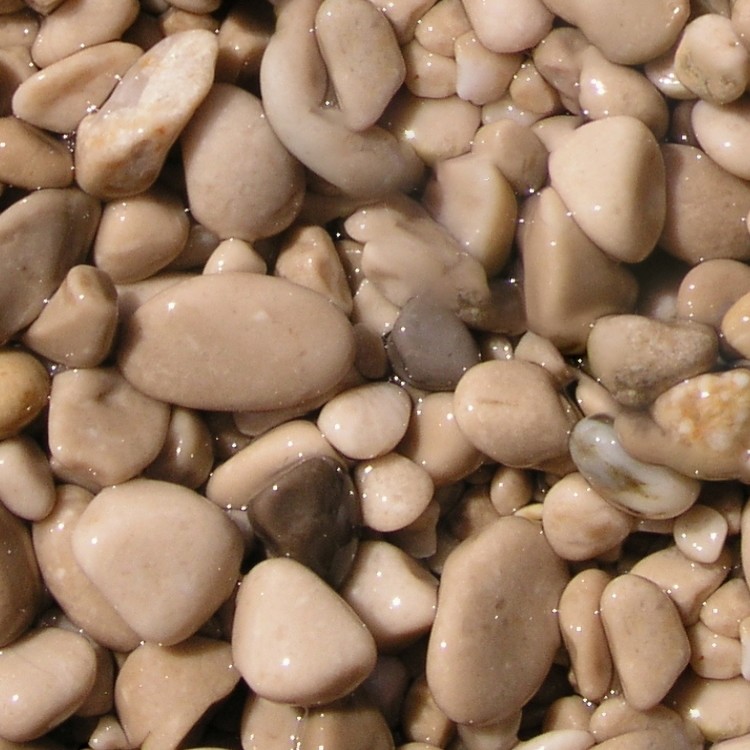 Textures   -   NATURE ELEMENTS   -   GRAVEL &amp; PEBBLES  - Wet pebbles stone texture seamless 12465 - HR Full resolution preview demo