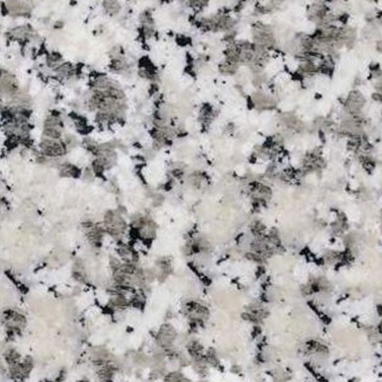 Textures   -   ARCHITECTURE   -   MARBLE SLABS   -   Granite  - Slab white Sardinia granite texture seamless 02216 - HR Full resolution preview demo